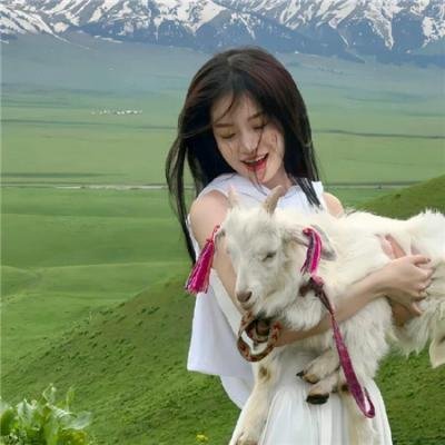 熊家餐馆第三季